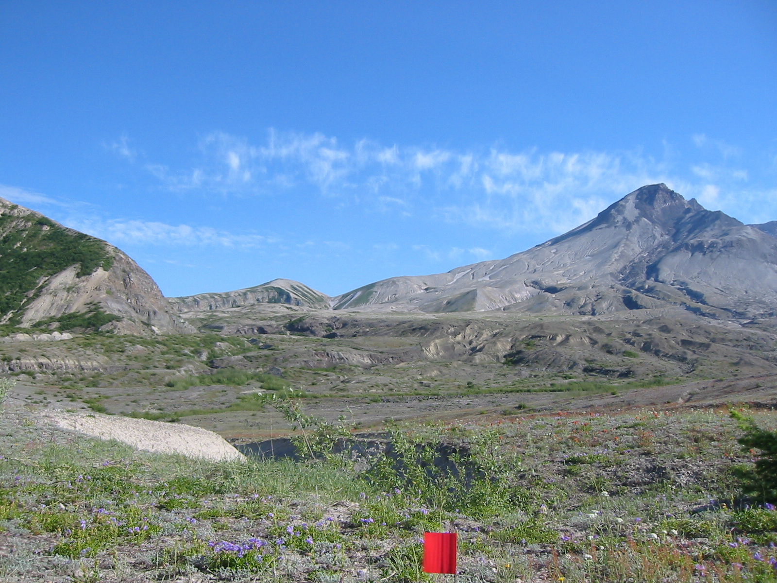 Study Site