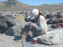 Elise collecting insects