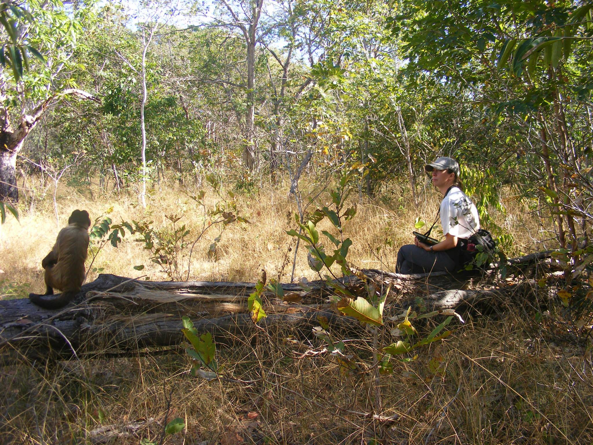 Allison conducting behavioral observation