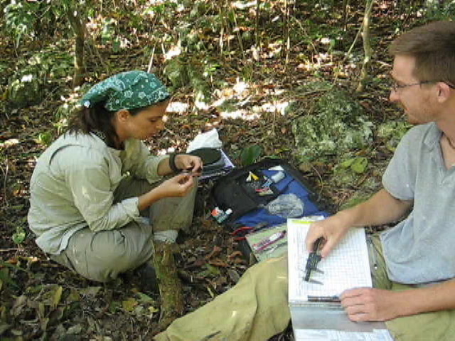 Christina Kennedy banding an American redstart with field assistant Stephan Lorenz