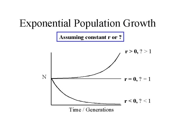 Exponential Population Growth