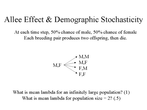 Allee Effect & Demographic Stochasticity