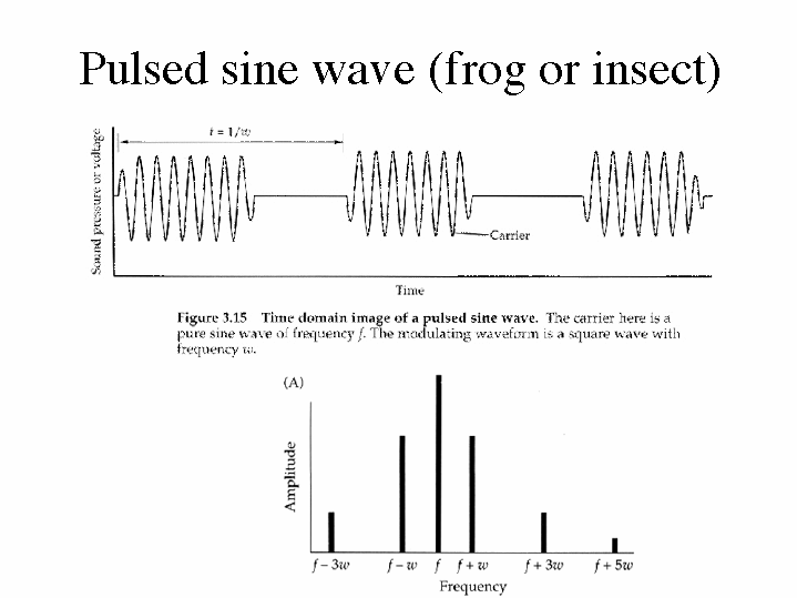 Pulsed sine wave (frog or insect)